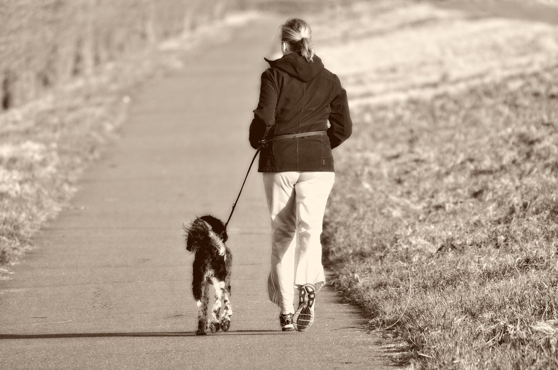 Versicherungsschutz für Läufer und Jogger mit Hund ist unverzichtbar. Selbst dem bravsten Hund passiert schon mal ein Missgeschick